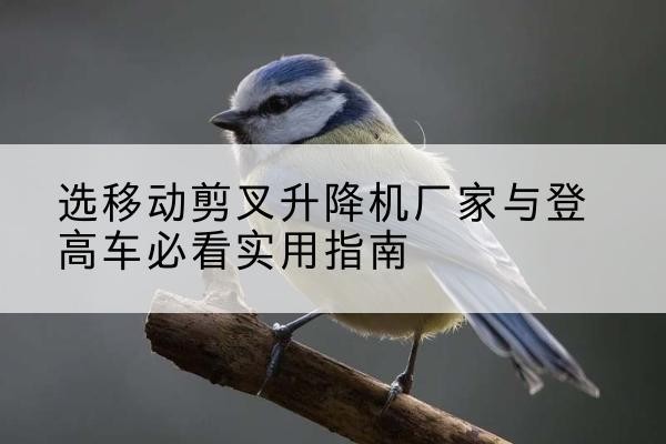 泰安电动升降机厂家-选移动剪叉升降机厂家与登高车必看实用指南
