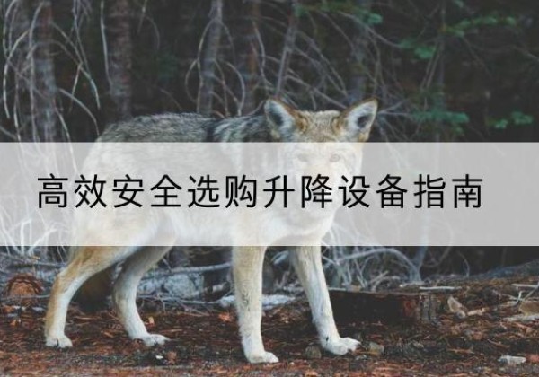 泰安升降货梯厂家推荐-*安全选购升降设备指南