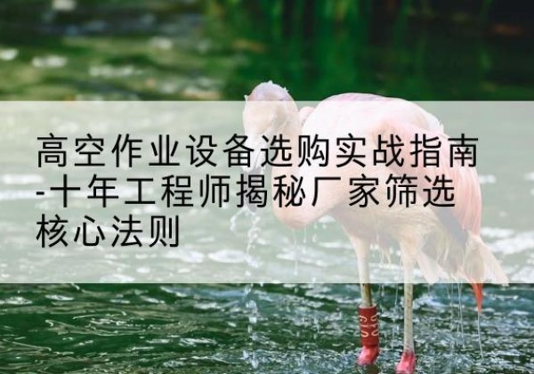 泰安剪叉式升降机厂家-高空作业设备选购实战指南-十年工程师揭秘厂家筛选核心法则