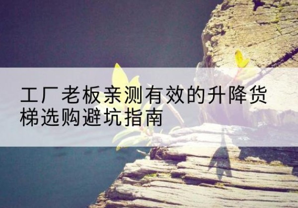 泰安升降货梯怎么选-工厂老板亲测有效的升降货梯选购避坑指南